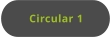 Circular 1